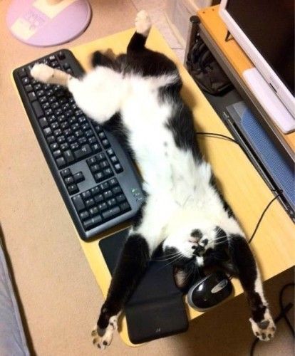 J'abandonne....