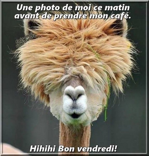 vendredi...hi.hi..