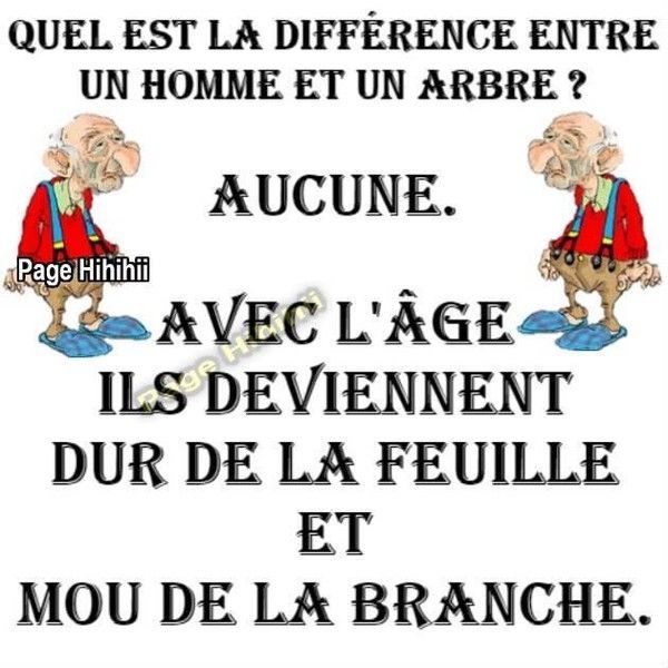 humour 