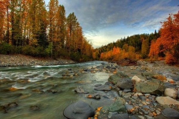 Rivière d'automne