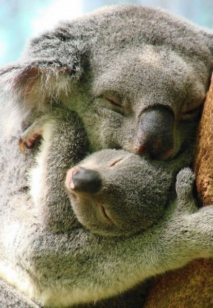 moment de tendresse...