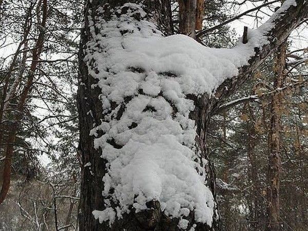 Visage de neige...