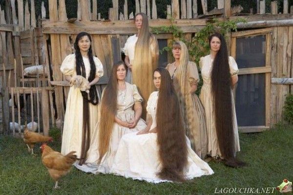 Crinières familiales