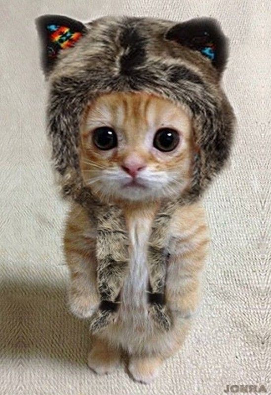 Bien habillé.....hi.hi..