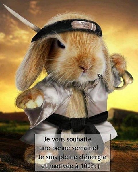 bonne semaine