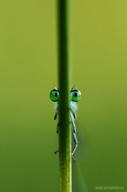 A bien voir...hi.hi..
