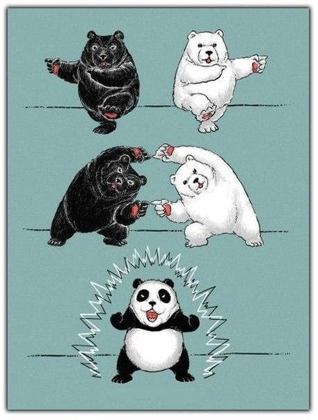 Fusion d'ours