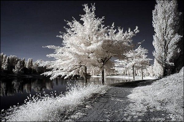 Paysage glacé