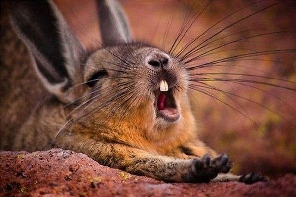FFFFFFiiiiiinnnnnnniiiiiii!..........