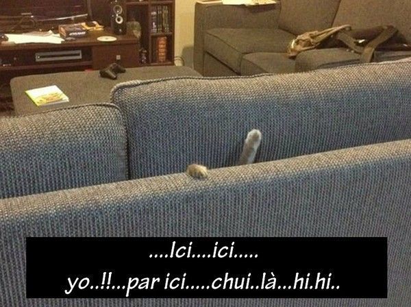 un autre retrouvé........hi.hi...