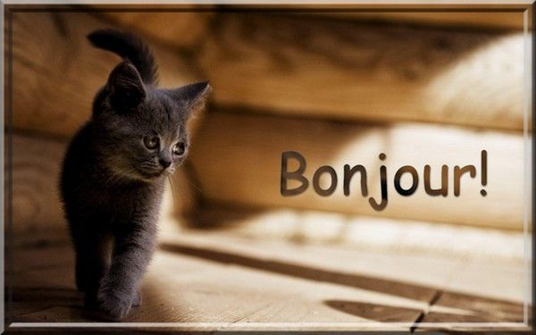 Bonjour...les amis...