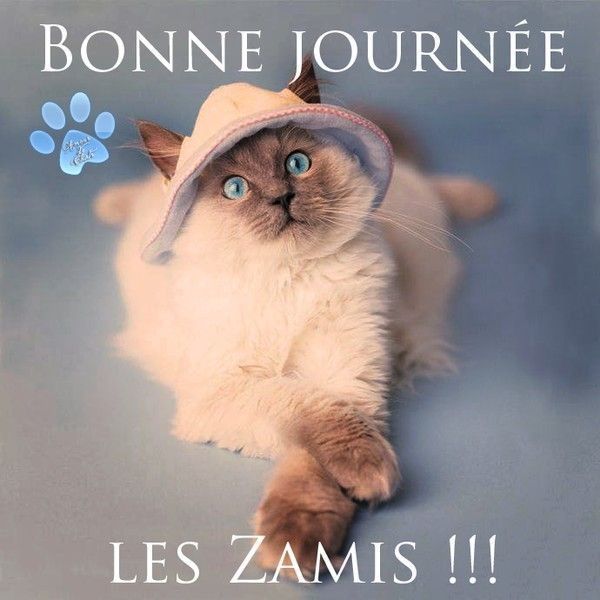 bonne journée