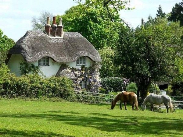 Chaumière et cheval