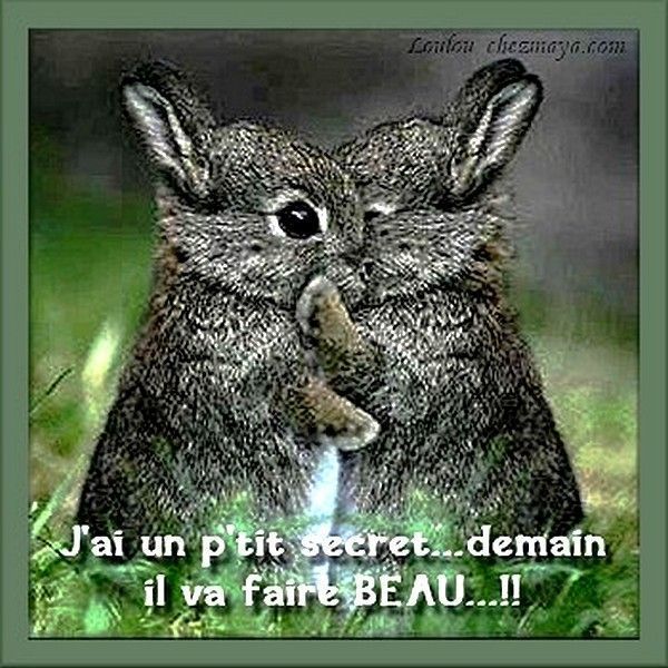 Comme quoi..hi.hi..