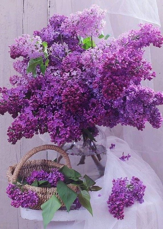 moi....le printemps