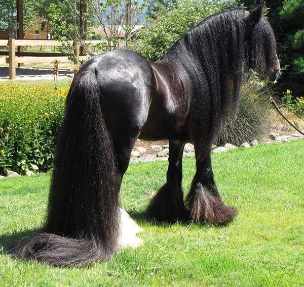 Beauté...en image...