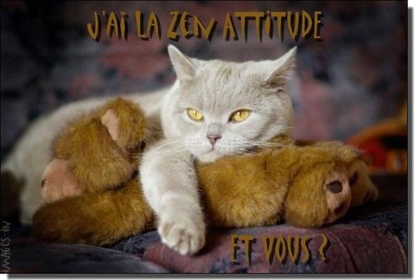 zen attitude....