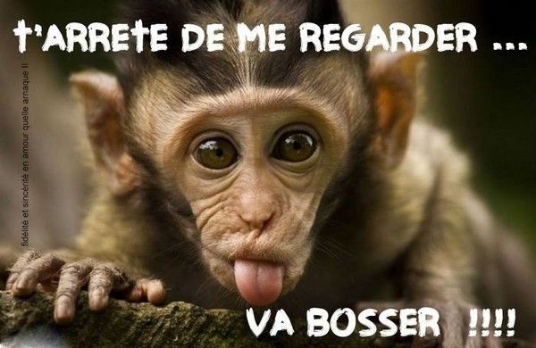 va bosser toi