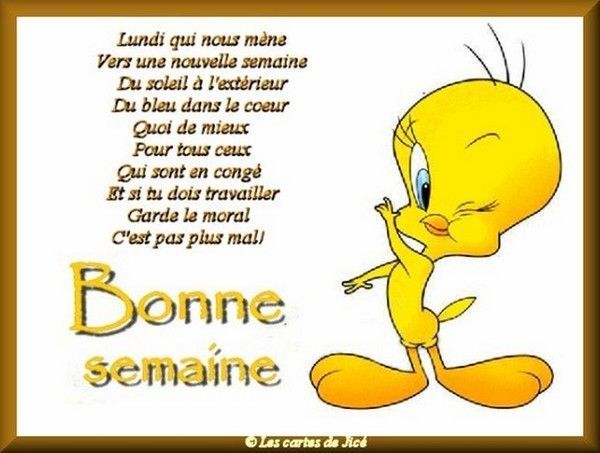 bonne 