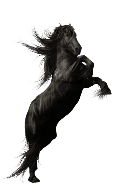 cheval noir
