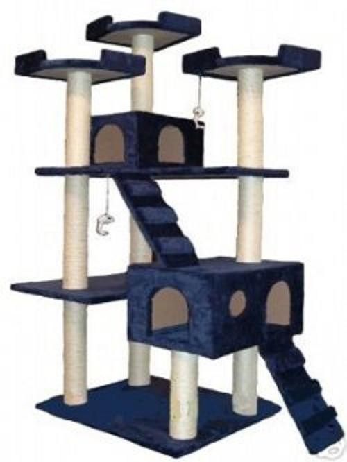 Un condo..de chat