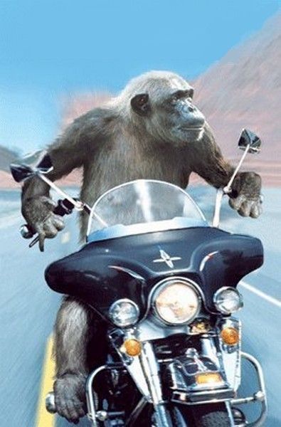 cé..partiiiiiii