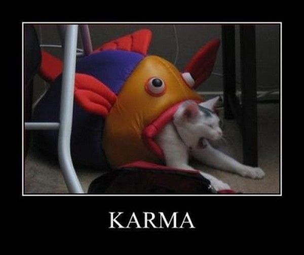 Karma...hi.hi..