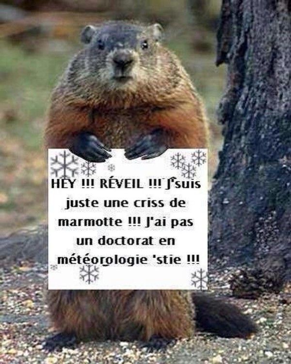 Est tu encore entrain.....
