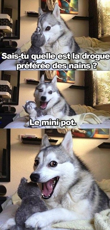 humour
