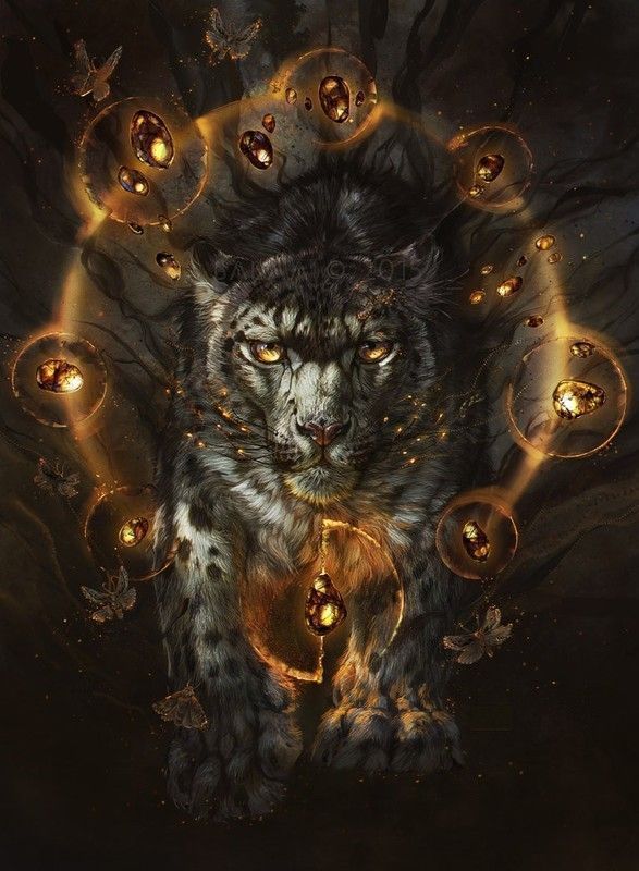 félin en feu