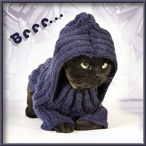 brr...laine....sors