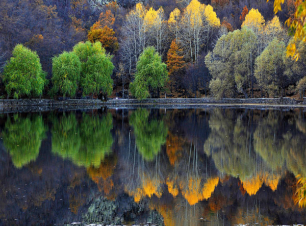 paysage