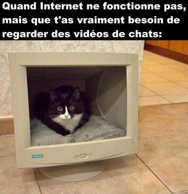 panne internet