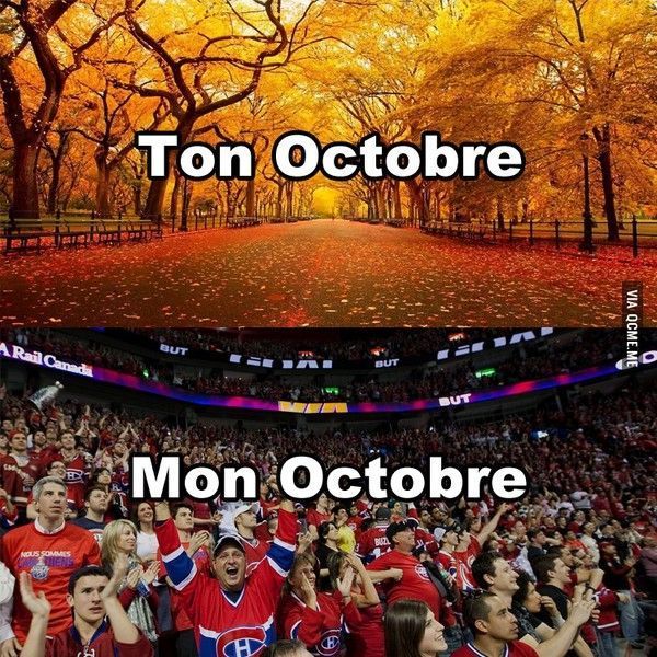 la vision....