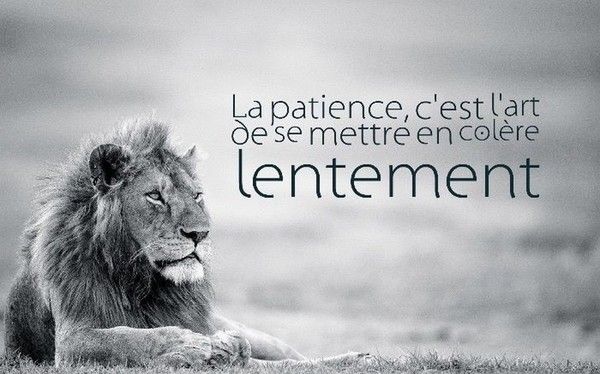 patience