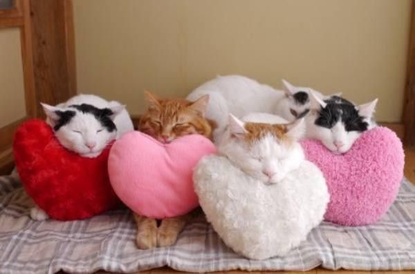pas facile..hi...hi..
