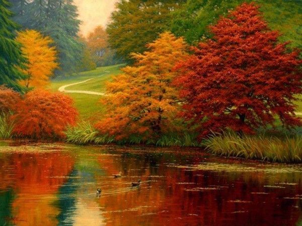 paysage automne