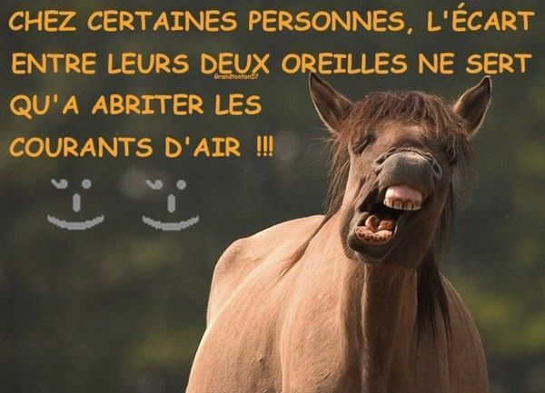 une joke.....pour...hi.hi..