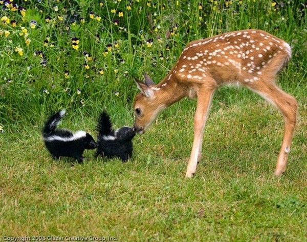 Un arôme de bisou.....