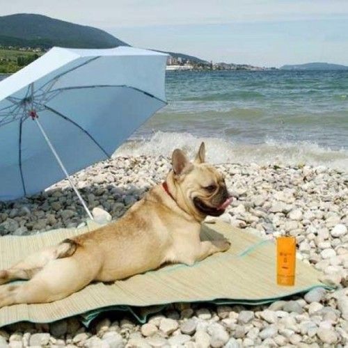 Maintenant...les vacances..arrivent.....