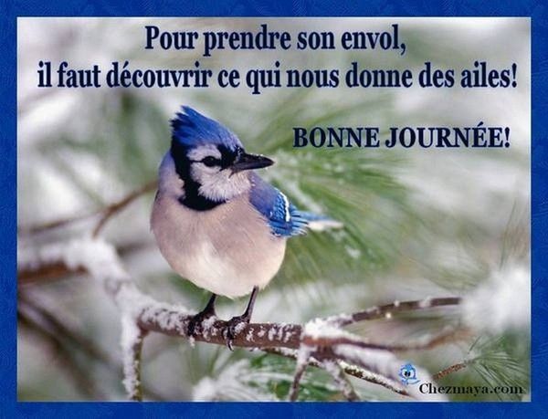 bonne journée