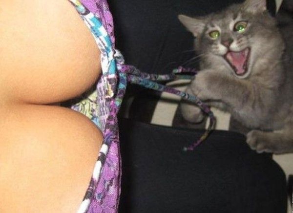 Héy!!! bébé vient  t'allonger...