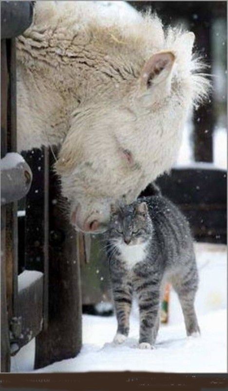 Rien ne peut .....