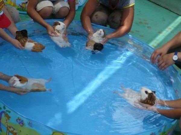 L'heure du bain...