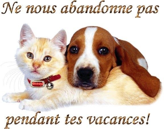 Prenez soin de vos compagnons....