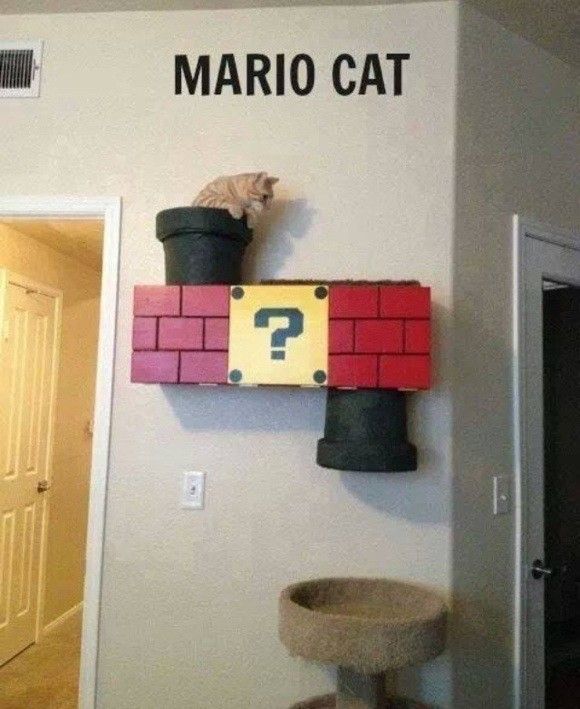 Mario...Cat..hi.hi..