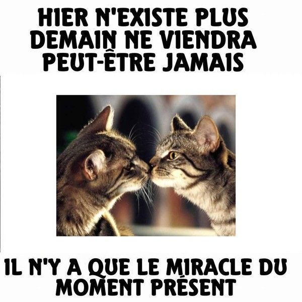 hier n'est que souvenir