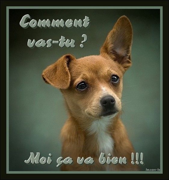 coucou