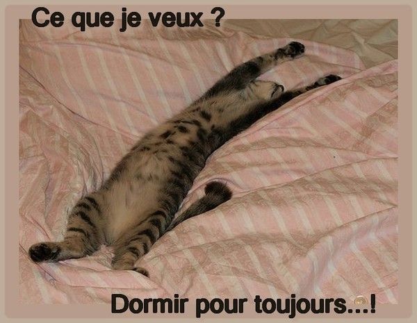 surtout...hi.hi...