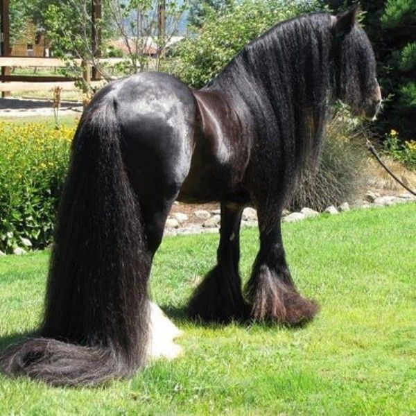 Regardez moi cette beauté....